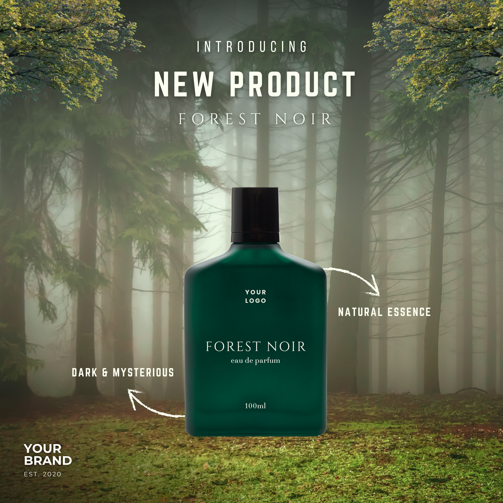 The Art of Refined Beauty